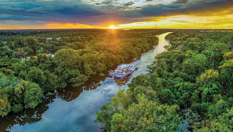 Rituels d’Amazone – L’Âme de la Beauté Tropicale